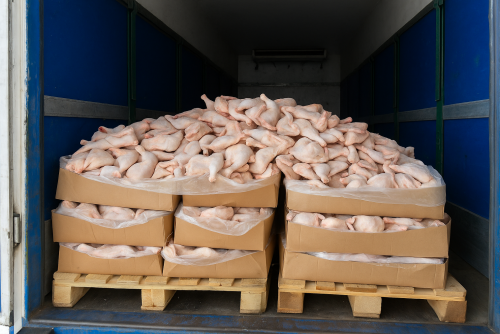 رەسەيدەن 20 توننا قۇس ەتىن زاڭسىز اكەلمەك بولعان