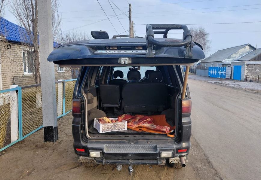 قوستاناي وبلىسىندا مال ۇرلىعى جيىلەپ بارادى