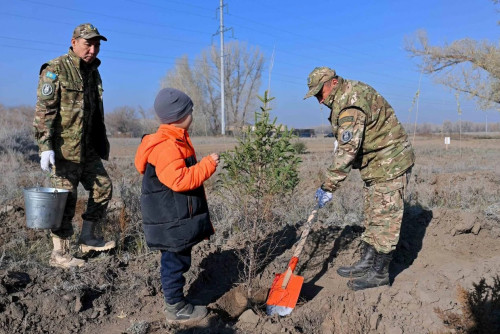 «ءبىر جىلدا 2 ملن-نان استام كوشەت وتىرعىزىلدى»: ەكولوگتار اباي وبلىسىنداعى احۋالدى ءتۇسىندىردى