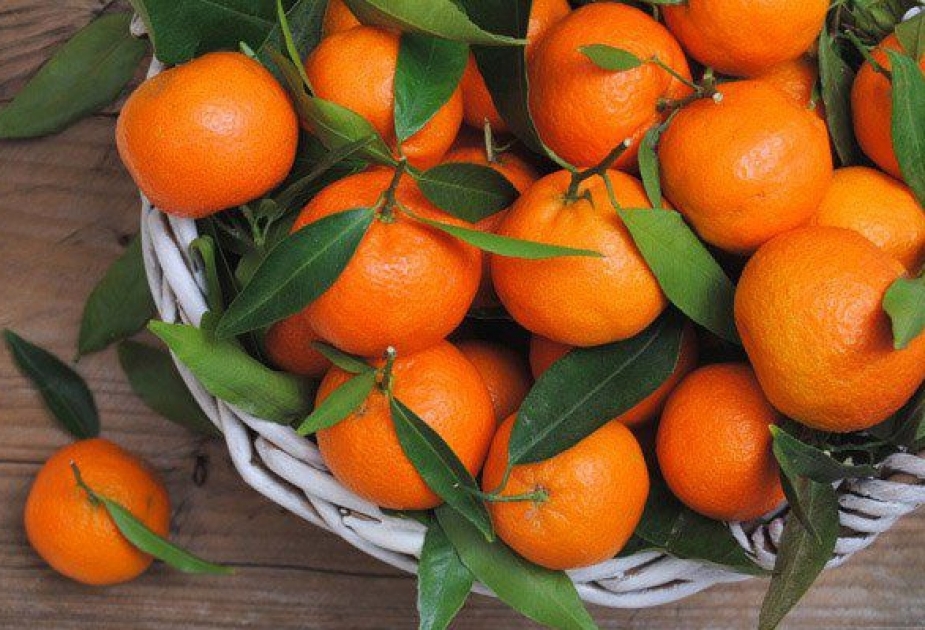 بالالارعا ەكى دانادان ارتىق بەرمەڭىز: ءمانداريندى كوپ تۇتىنۋ قاۋىپتى