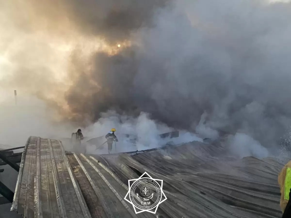 الماتىدا ەكى قاباتتى قويمادا ءورت شىقتى