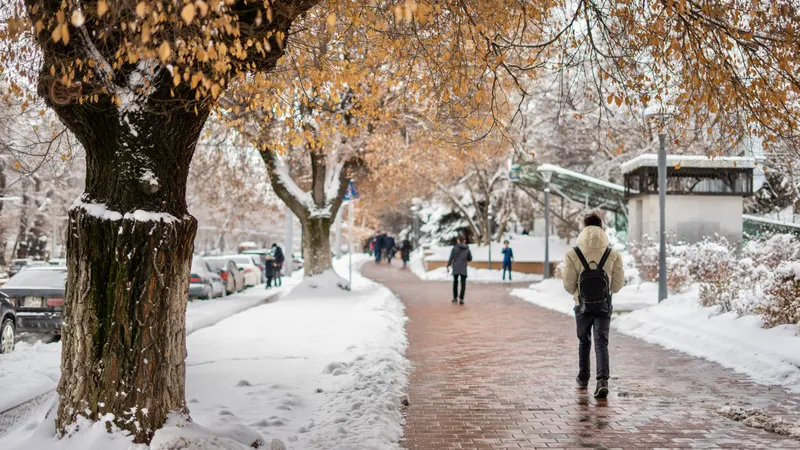 قاراشانىڭ سوڭىندا اۋا رايى قانداي بولادى؟