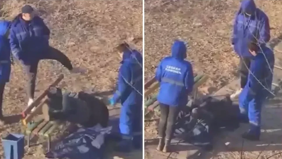 «دارىگەرلەر ناۋقاستى سوققىعا جىققان»: مينيسترلىك مالىمدەمە جاسادى