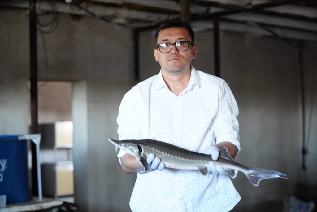 بەكىرەنىڭ بابىن تاپقان