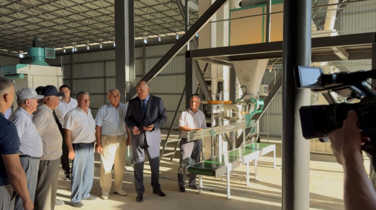 جەتىستىگى مول جاركەنت