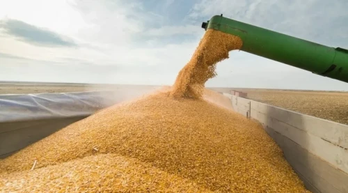 قازاقستاننان تۇرىكمەنستانعا جەتكىزىلەتىن بيداي كولەمى ارتادى