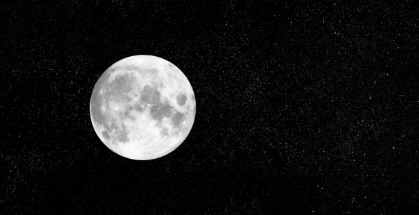 عالىمدار ايدىڭ قالىپتاسۋى تۋرالى جاڭا دەرەك ۇسىندى