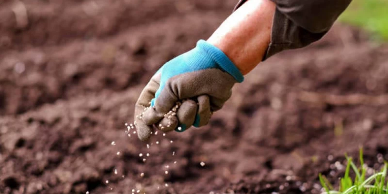 قوستانايدا 16 جەر ۋچاسكەسى مەملەكەتكە قايتارىلدى