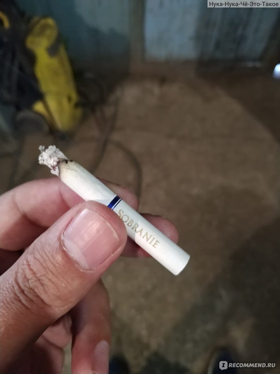 تەمەكى قالدىعى ءۇشىن قوعامدىق جۇمىسقا تارتىلدى