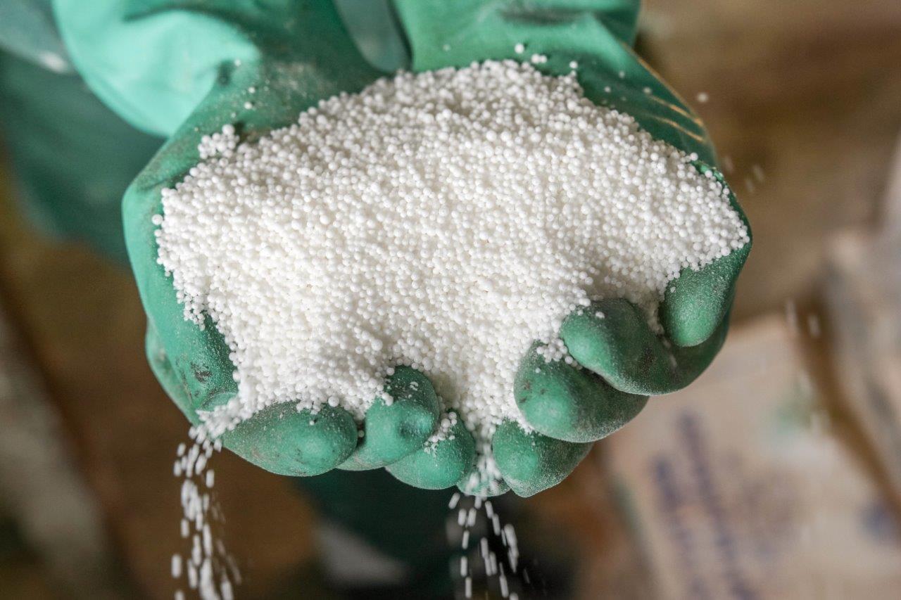 داقىلعا قاجەت قورەك – كارباميد