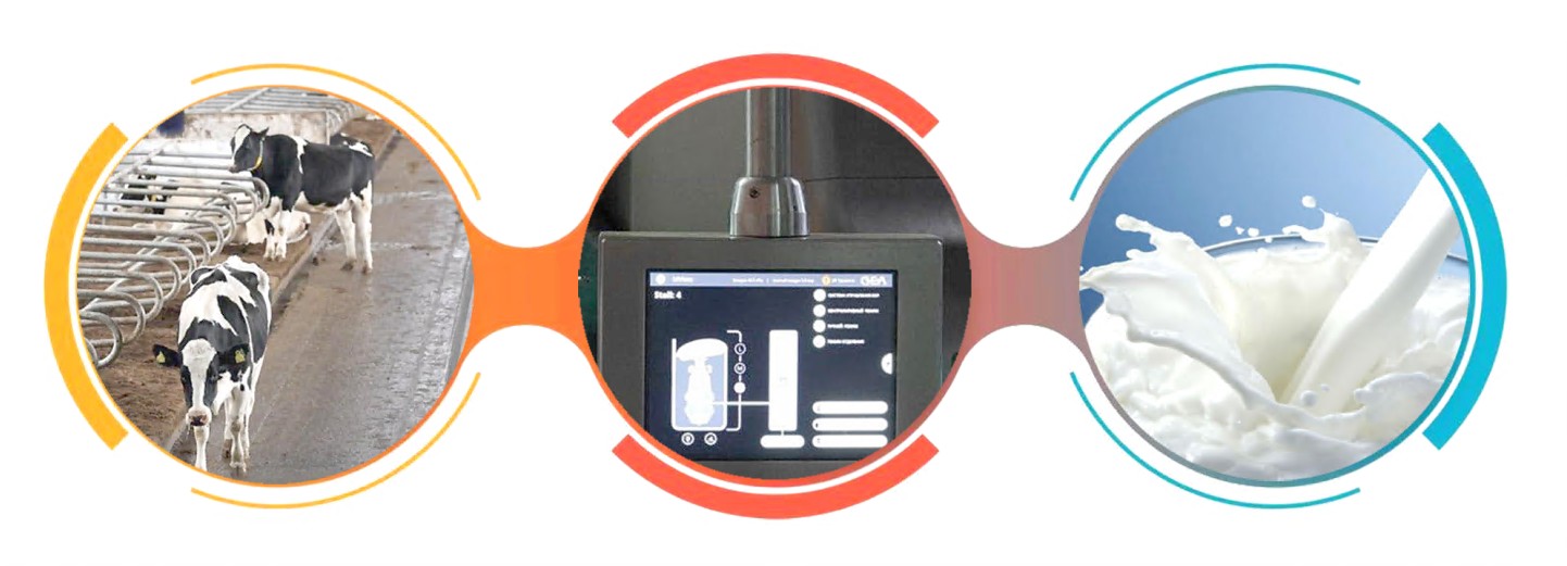 روبوت-ساۋىنشى