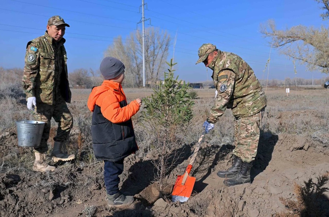 تازالىق تاعىلىمى