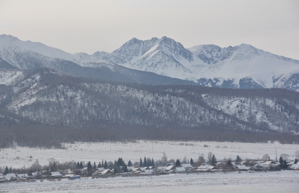 بۇقتىرما بويى يەن ورمان