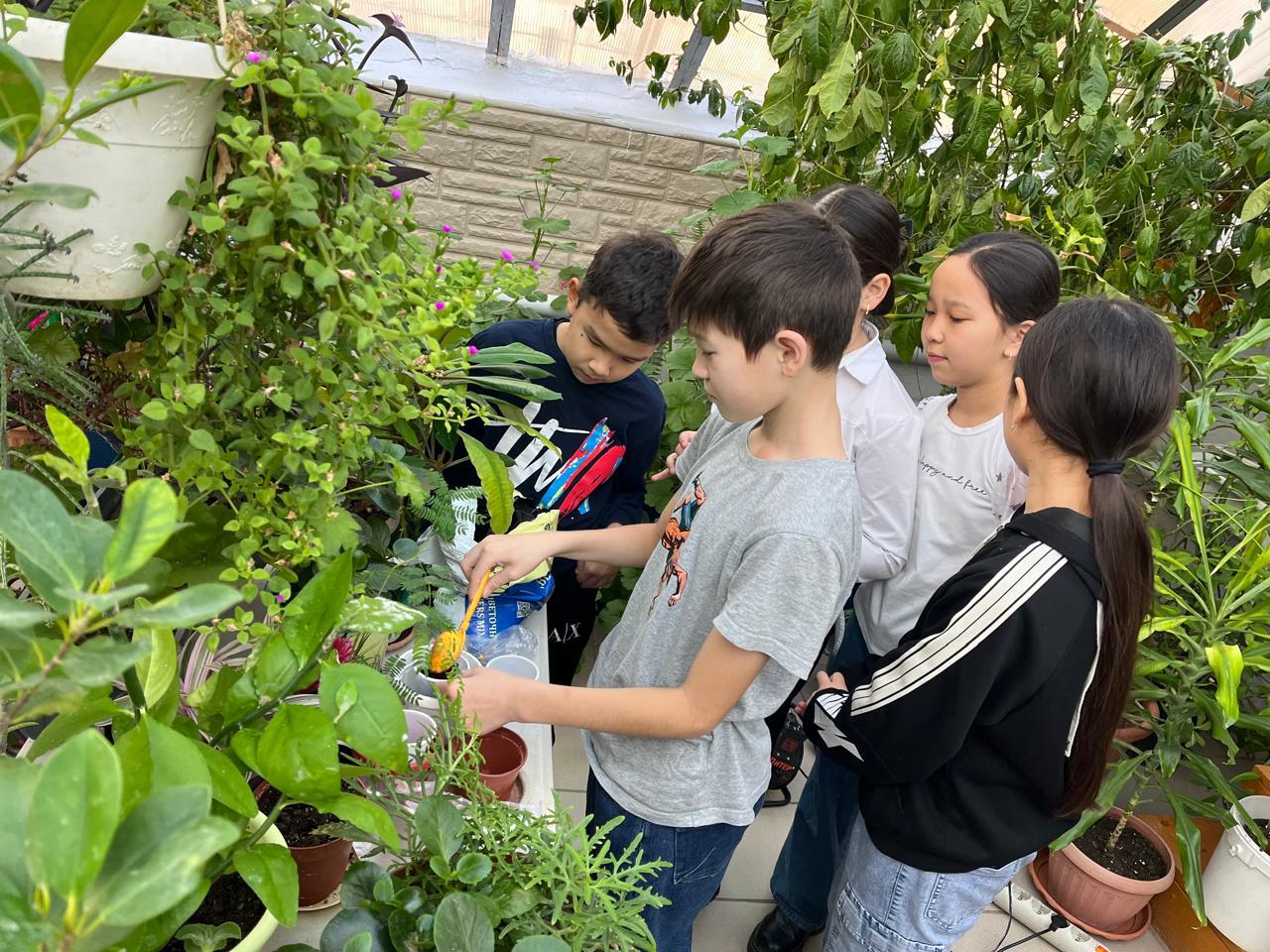 تابيعات سۇيگىش بالالار