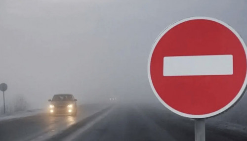 الماتى وبلىسىندا كولىك قوزعالىسىنا شەكتەۋ قويىلدى