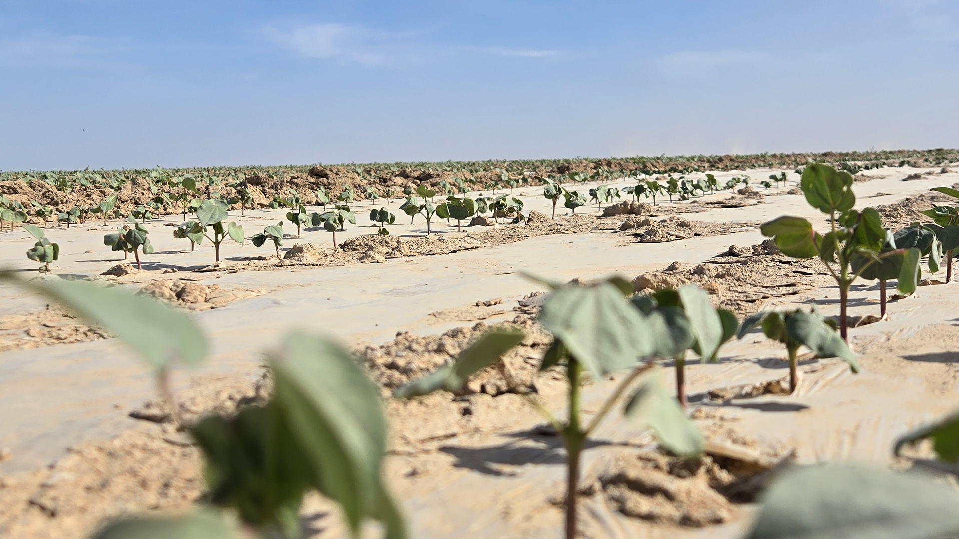 اۋقىمدى كلاستەر قۇرىلادى