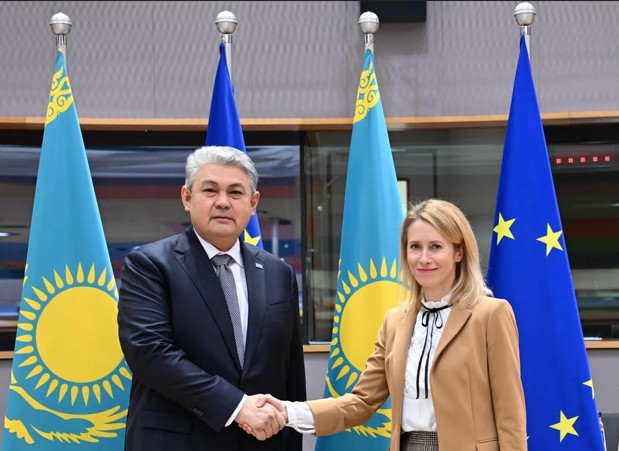 سەرىكتەستىكتىڭ ون جىلدىعىن قورىتىندىلادى