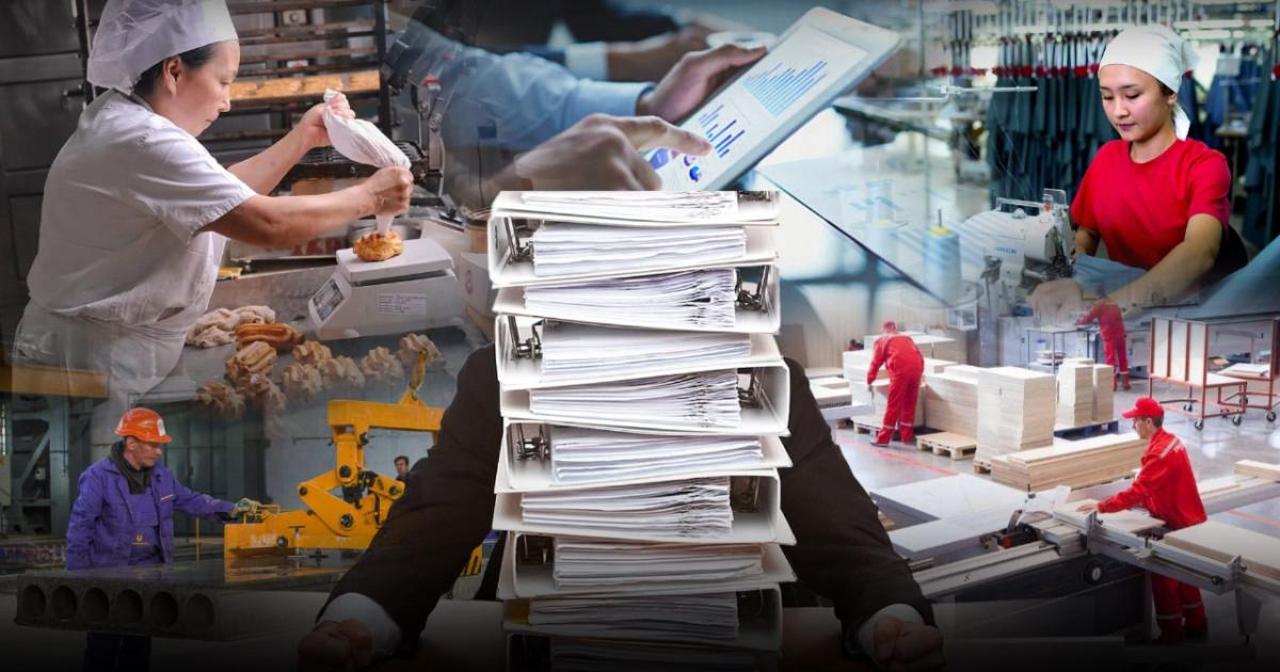 توقاەۆ شاعىن جانە ورتا بيزنەستى دامىتۋعا ايرىقشا ءمان بەرەتىنىن ايتتى