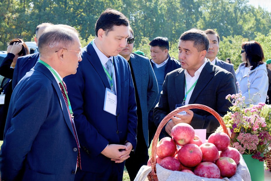 «ميچۋرين باعى» اشىلدى