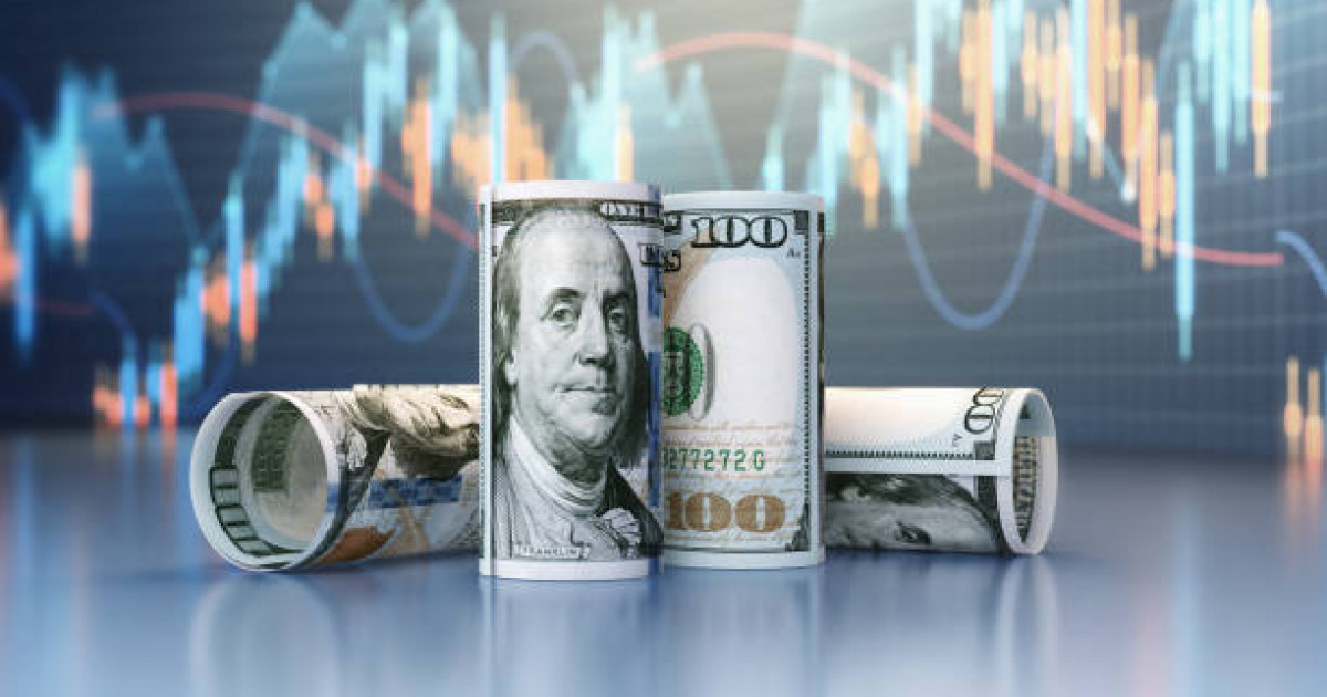 دوللاردىڭ قۇنسىزدانۋى نارىقتاعى باعاعا قالاي اسەر ەتتى؟