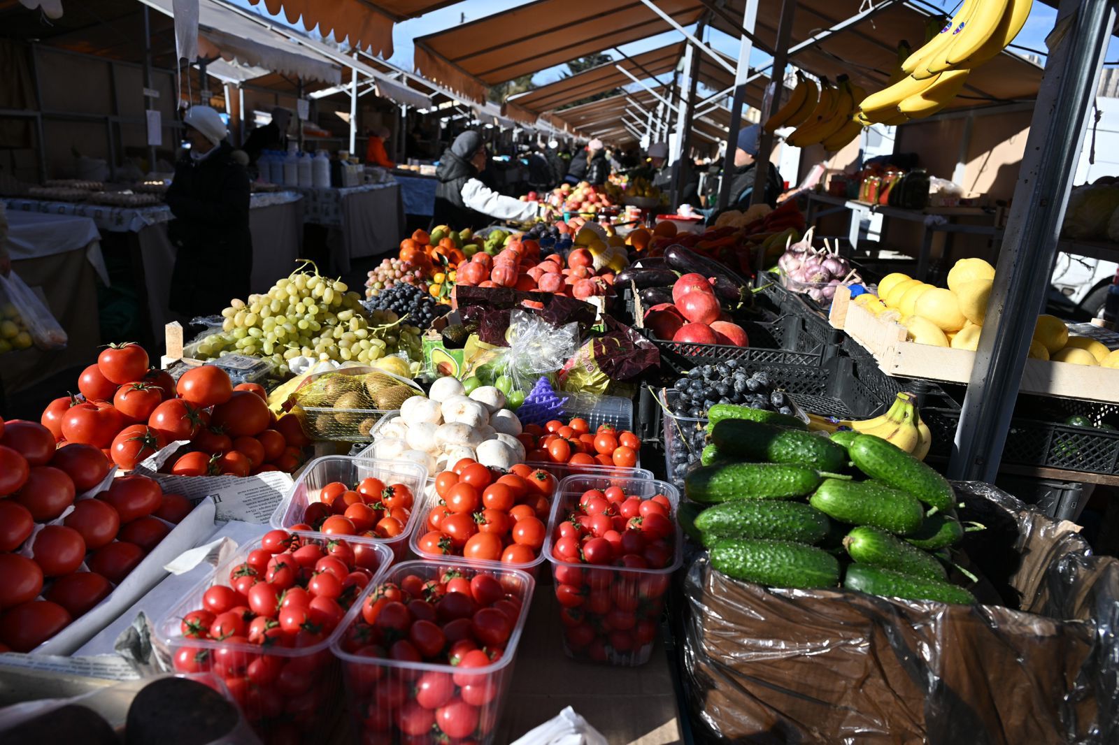 الماتى بيلىگى دەلدالداردان قۇتىلۋ ءۇشىن كوممۋنالدىق جارمەڭكەلەر وتكىزبەك