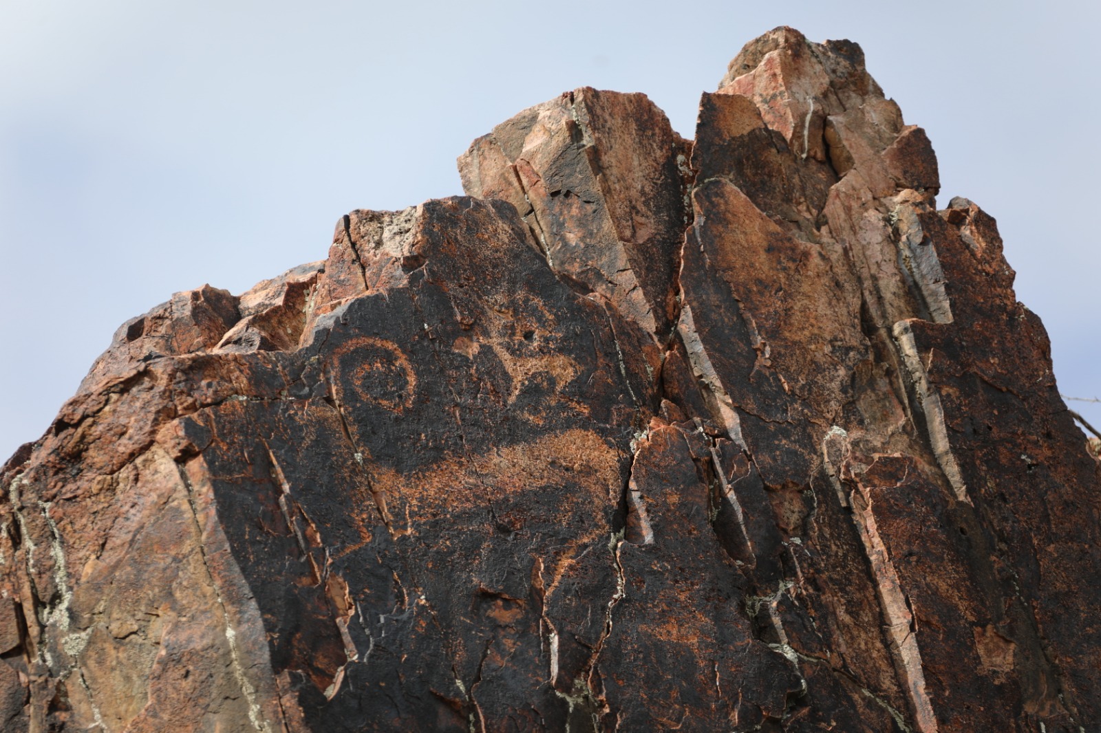 ىزشىلەردىڭ ىرگەلى ىزدەنىسى