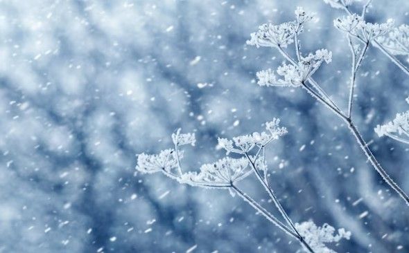 بۇگىن ەلىمىزدە 33 گرادۋسقا دەيىن اياز بولادى