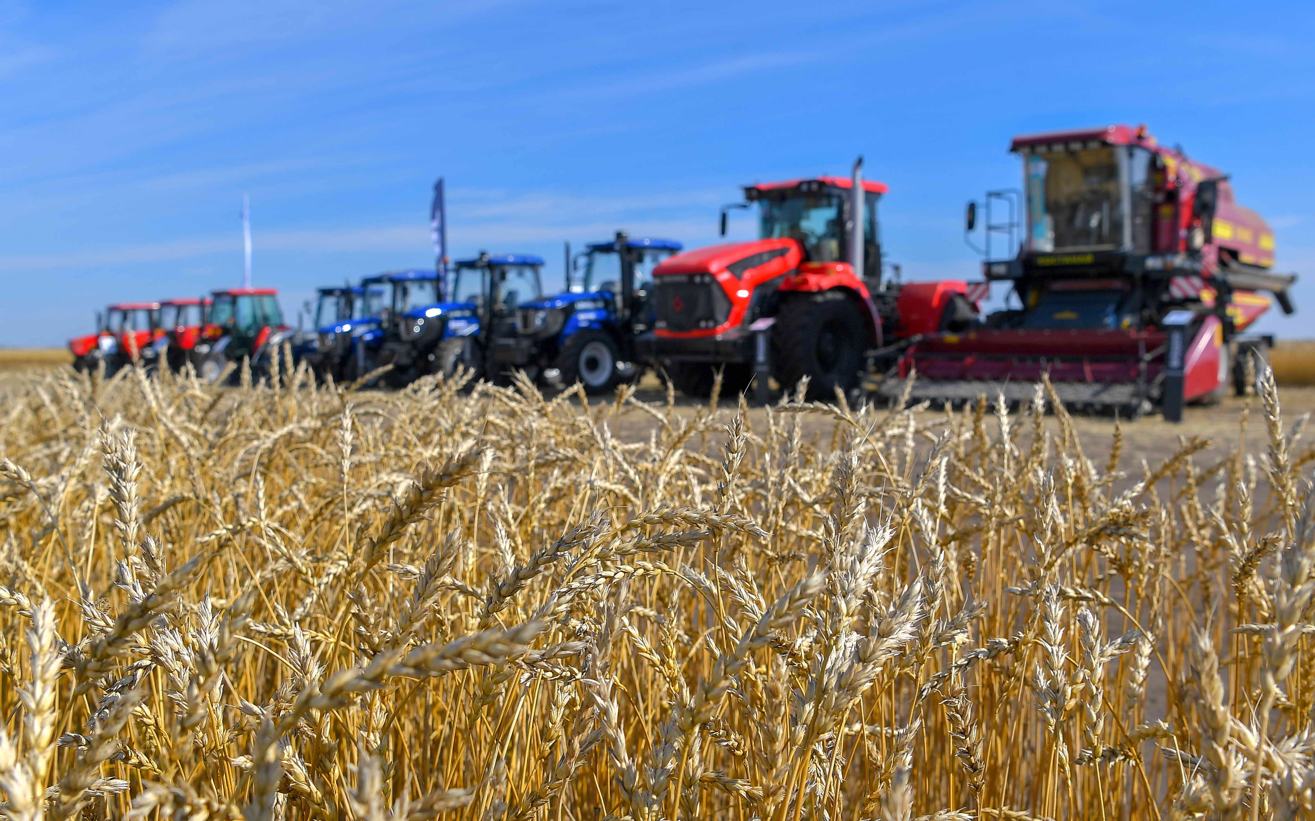 شارۋالاردى سارساڭعا تۇسىرگەن ليزينگ