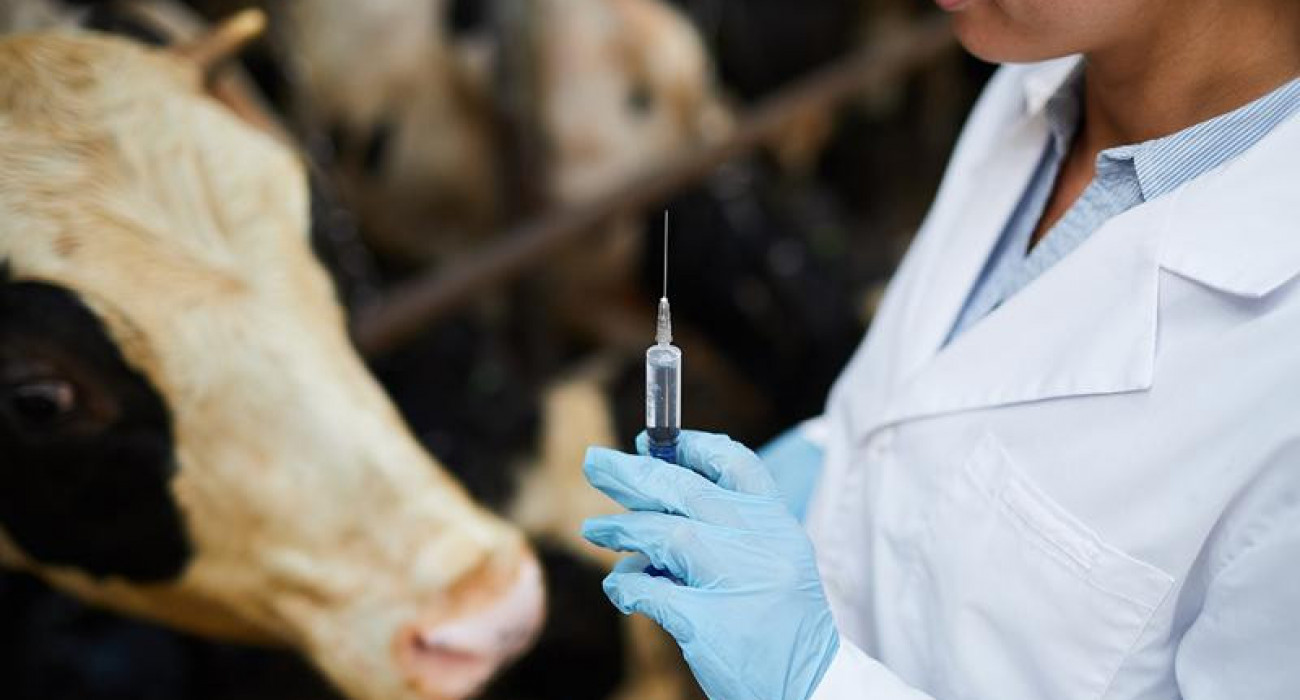 ۆەتەريناريا سالاسى سىن كوتەرمەيدى