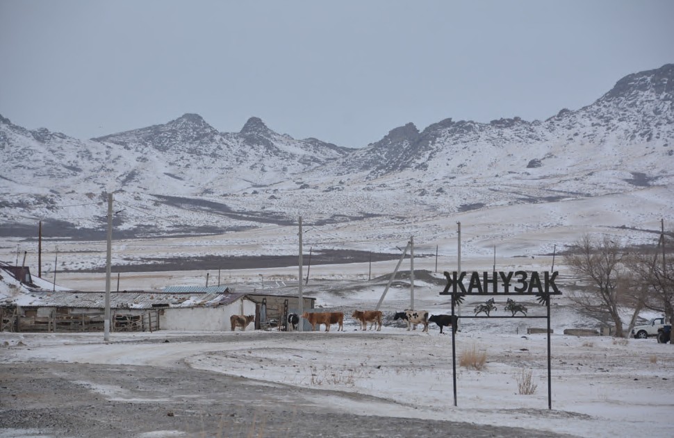 جانعا جايلى جانۇزاق