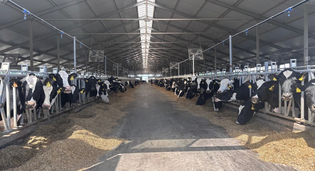 سۋبسيديانىڭ قايتارىمى بولا ما؟