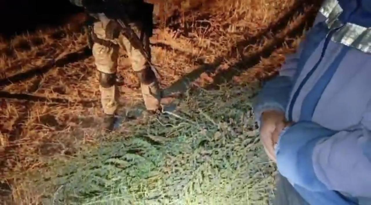 ماريحۋانا جيناعان تۇرعىن ۇستالدى