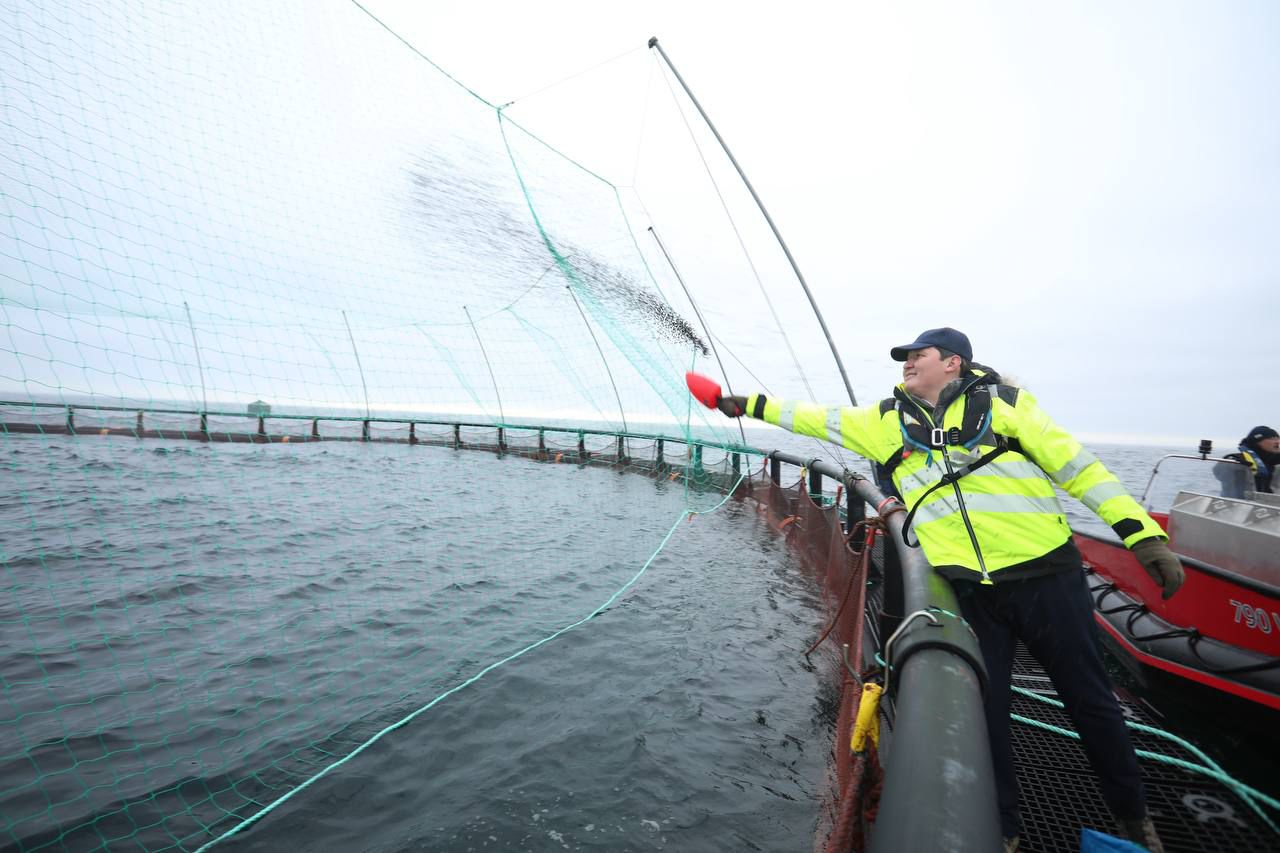 ماڭعىستاۋدا ورتالىق ازياداعى العاشقى تەڭىز اكۆاشارۋاشىلىق جوباسى ىسكە اسىپ جاتىر
