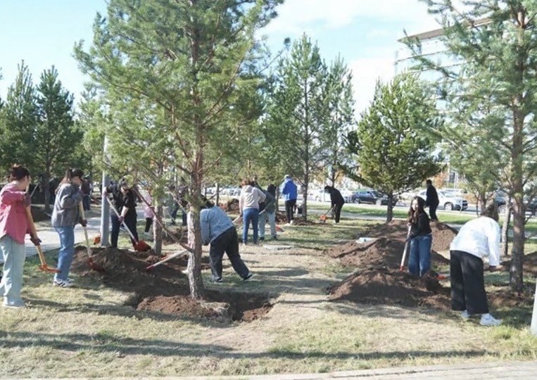 قورشاعان ورتانى كوركەيتەتىن ەكولوگيالىق باعدار