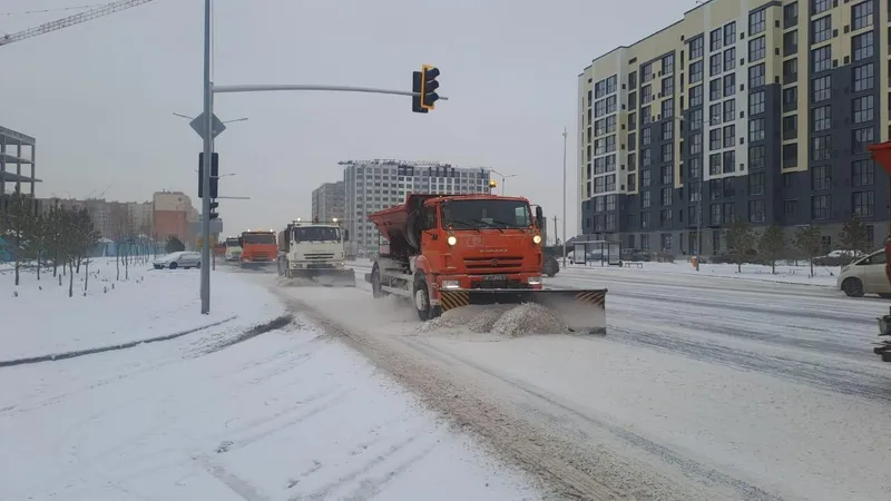 ەلوردا اكىمدىگى تولاسسىز جاۋعان قارعا بايلانىستى مالىمدەمە جاسادى