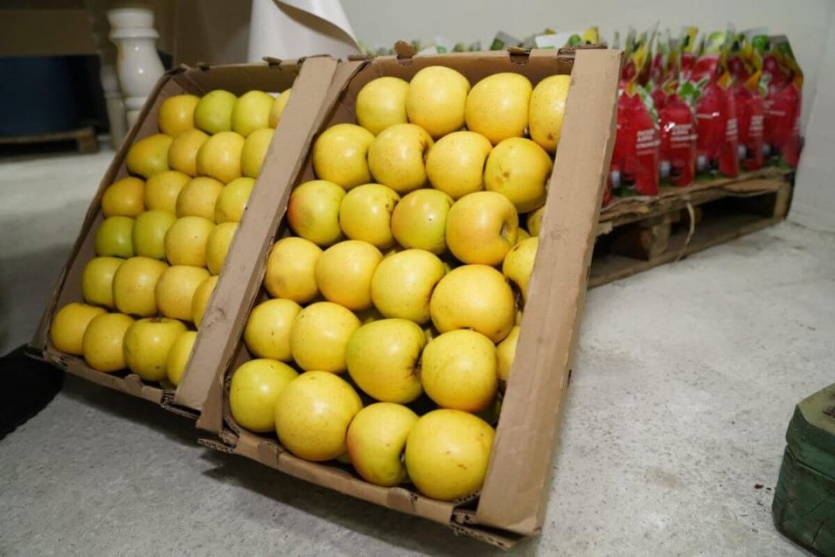 تۇركىستان وبلىسىندا جەمىس-جيدەك وڭدەيتىن زاۋىت ىسكە قوسىلدى