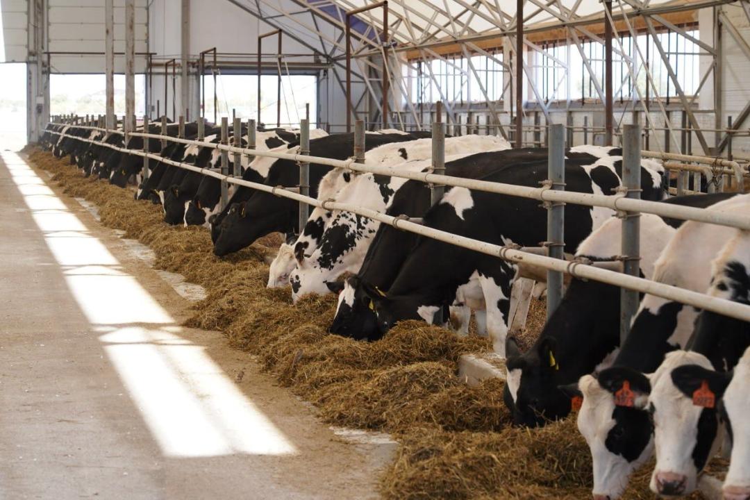 الماتى وبلىسىندا 89 ملرد تەڭگەگە جەمشوپ وندىرەتىن زاۋىت سالىنادى