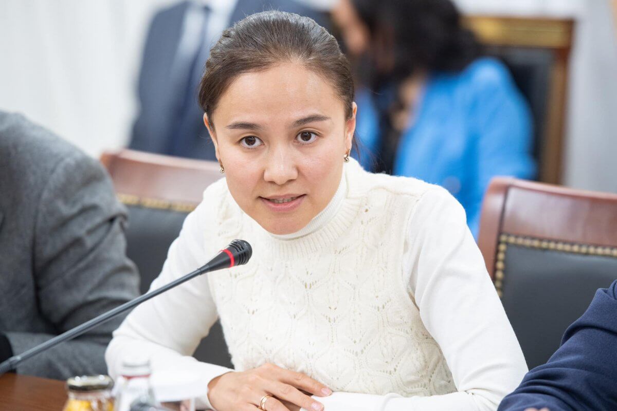 ينديرا رىستينا: وزىق ويلى ەل بولامىز دەسەك, ءار ىسكە جاۋاپكەرشىلىكپەن قاراۋىمىز كەرەك