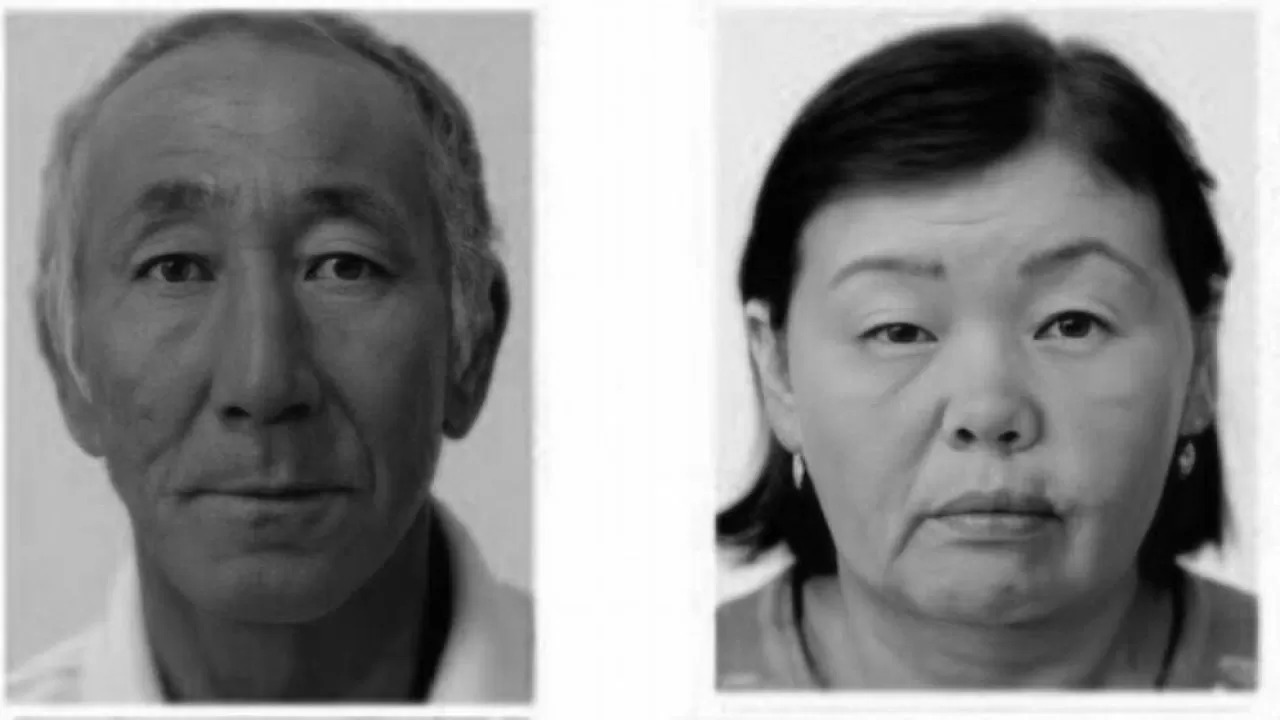 اتا-ەنەسىن ءولتىردى دەپ كۇدىككە ىلىنگەن كۇيەۋ بالا تۋرالى تىڭ مالىمەت جاريا بولدى