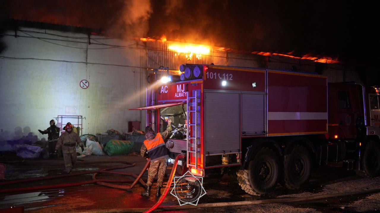 الماتىدا قويما ورتەندى