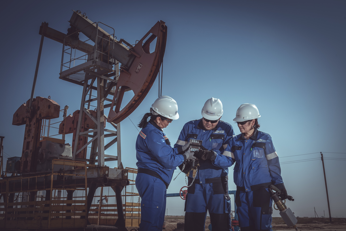 مۇناي باعاسى نەگە كۇرت ءوستى؟