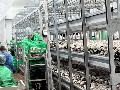 پەتروپاۆلدا جاڭا ءوندىرىس ىسكە قوسىلدى