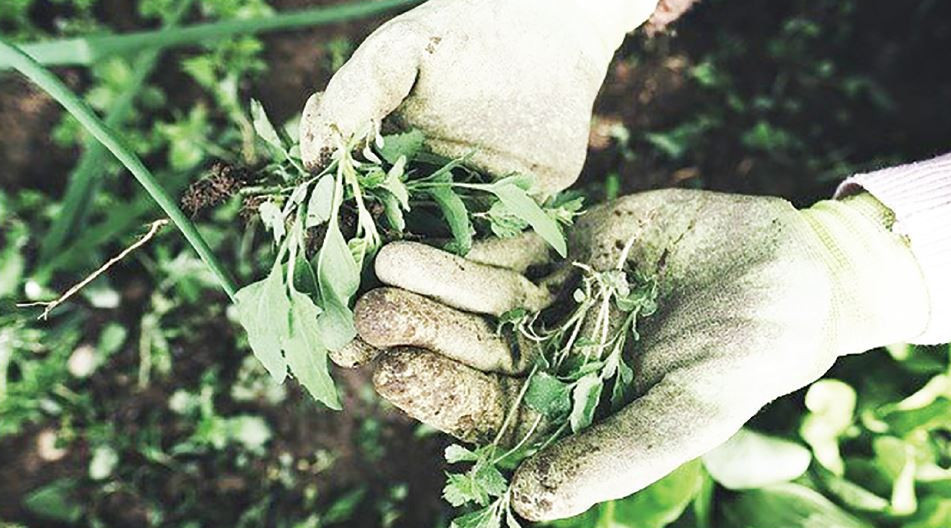 بەرىك بازارباەۆ: «ءارامشوپ – استىقتىڭ باستى جاۋى»