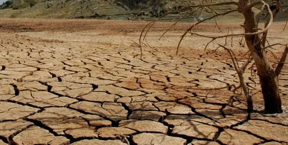 قازاقستاندا جازدا قۇرعاقشىلىق بولۋى مۇمكىن: مينيسترلىك قاۋىپتى ايماقتاردى اتادى