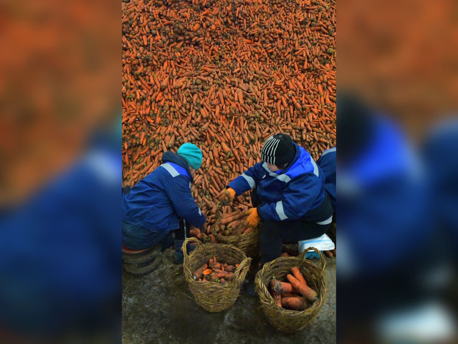 قويما تولى ءسابىزدى كۇرەسىنگە تاستايمىز با؟