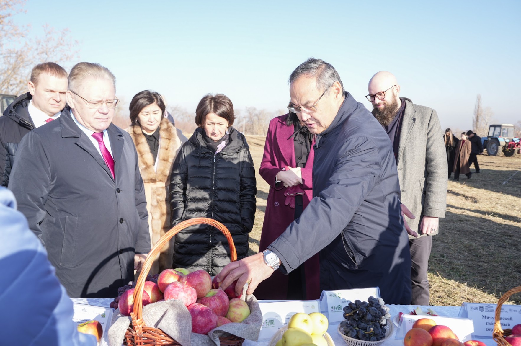 تەجەۋ مەن دەمەۋ