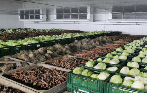 لوگيستيكالىق ورتالىق كوكونىسكە تولادى