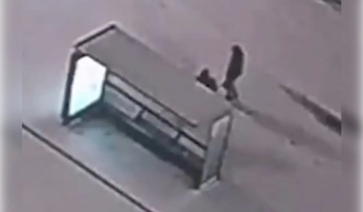 استانادا ايالدامانى قيراتقان ەر ادام قاماۋعا الىندى