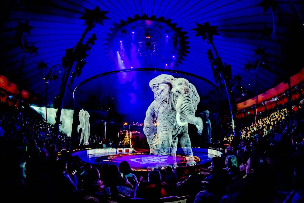 جانۋارسىز تسيرك