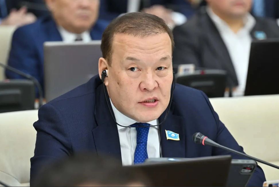 ەل ەكونوميكاسى قالاي ءوسىپ جاتىر: دەپۋتات قاراپايىم سوزبەن ءتۇسىندىرىپ بەردى